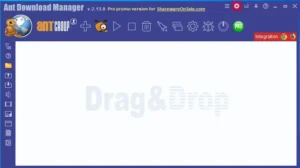 ant download manager